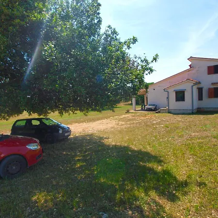 Goga 1429 * Pula